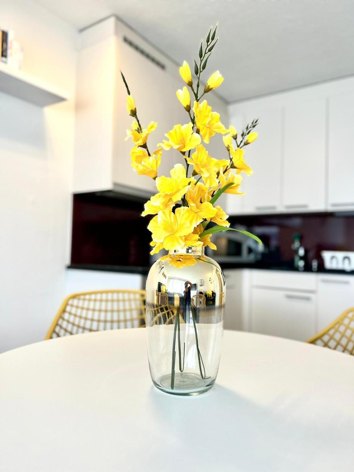 Little Penthouse **** Apartment Dietikon Exterior foto