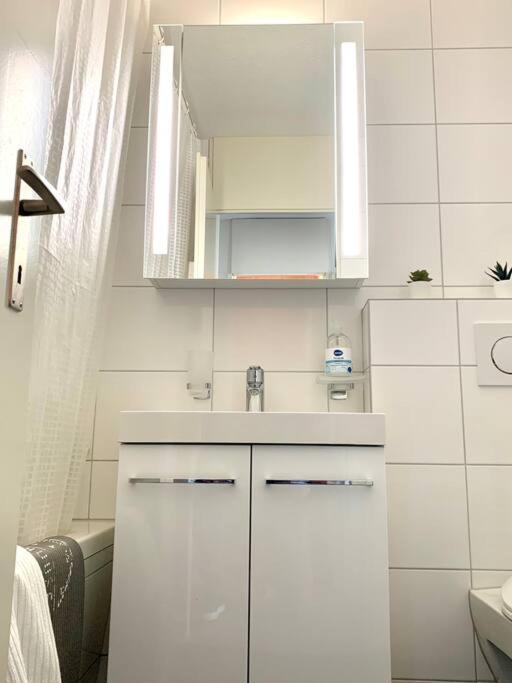 Little Penthouse **** Apartment Dietikon Exterior foto