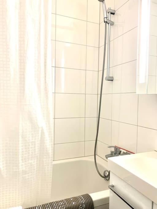 Little Penthouse **** Apartment Dietikon Exterior foto