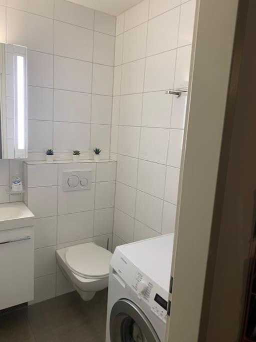 Little Penthouse **** Apartment Dietikon Exterior foto