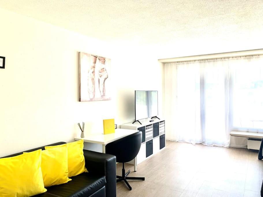 Little Penthouse **** Apartment Dietikon Exterior foto